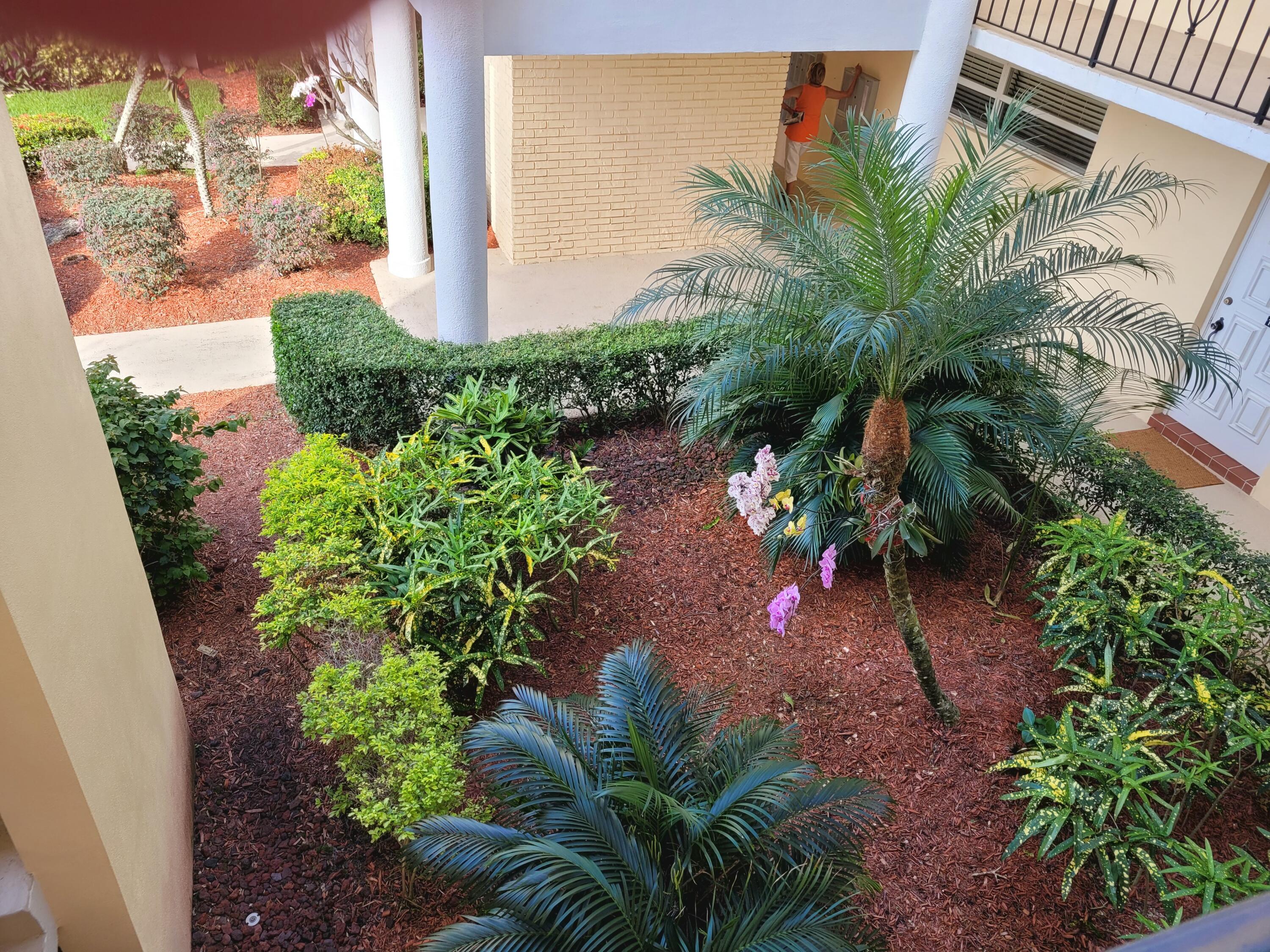 a view of a yard with plants