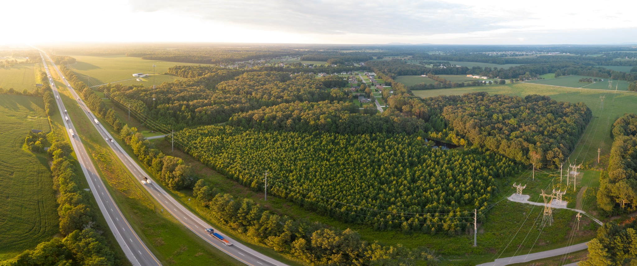 an aerial view of residential houses with outdoor space and trees