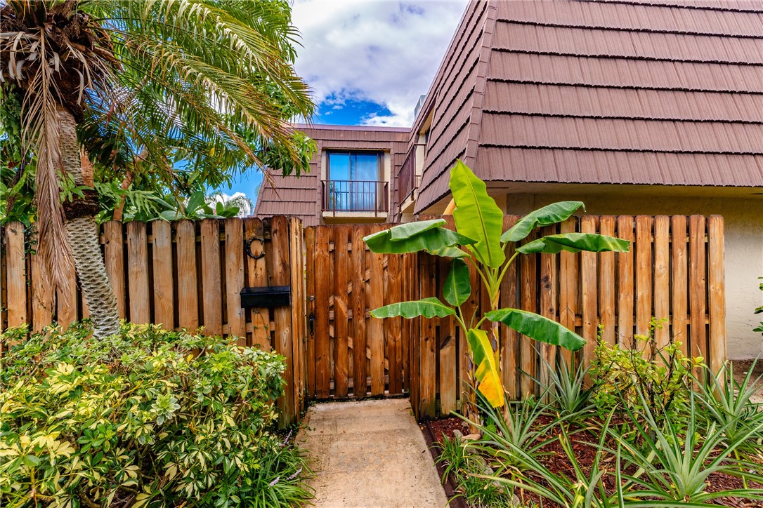 a view of a backyard with plants