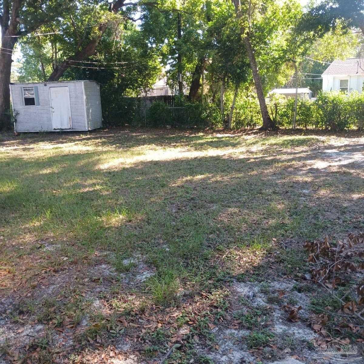 a view of a yard with large trees