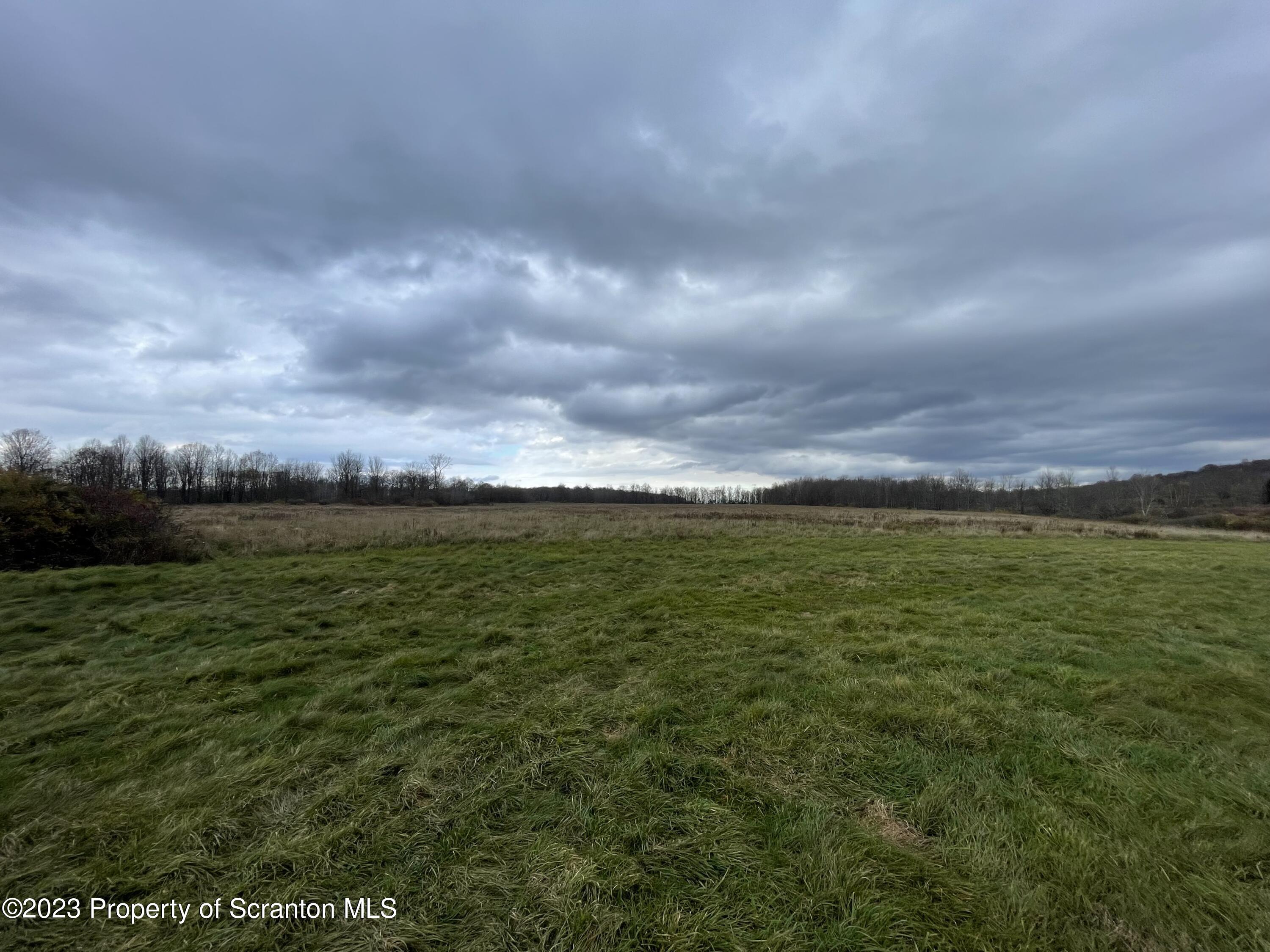 a view of a field with an ocean