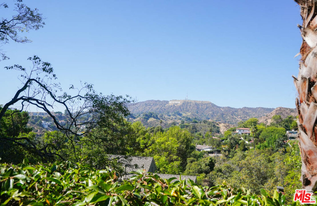 a view of a mountain in the distance in a field