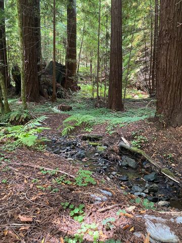 $399,000 | 1545 Cazadero Highway | Russian River