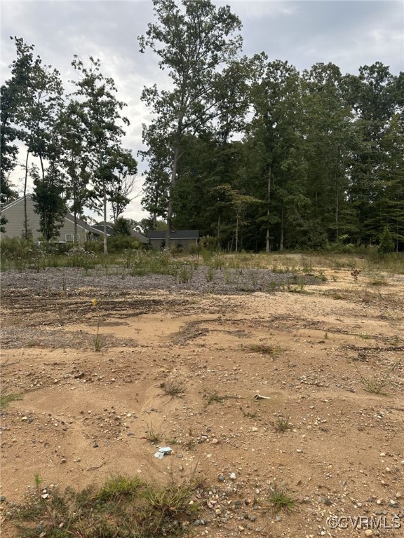 a view of a yard with large trees