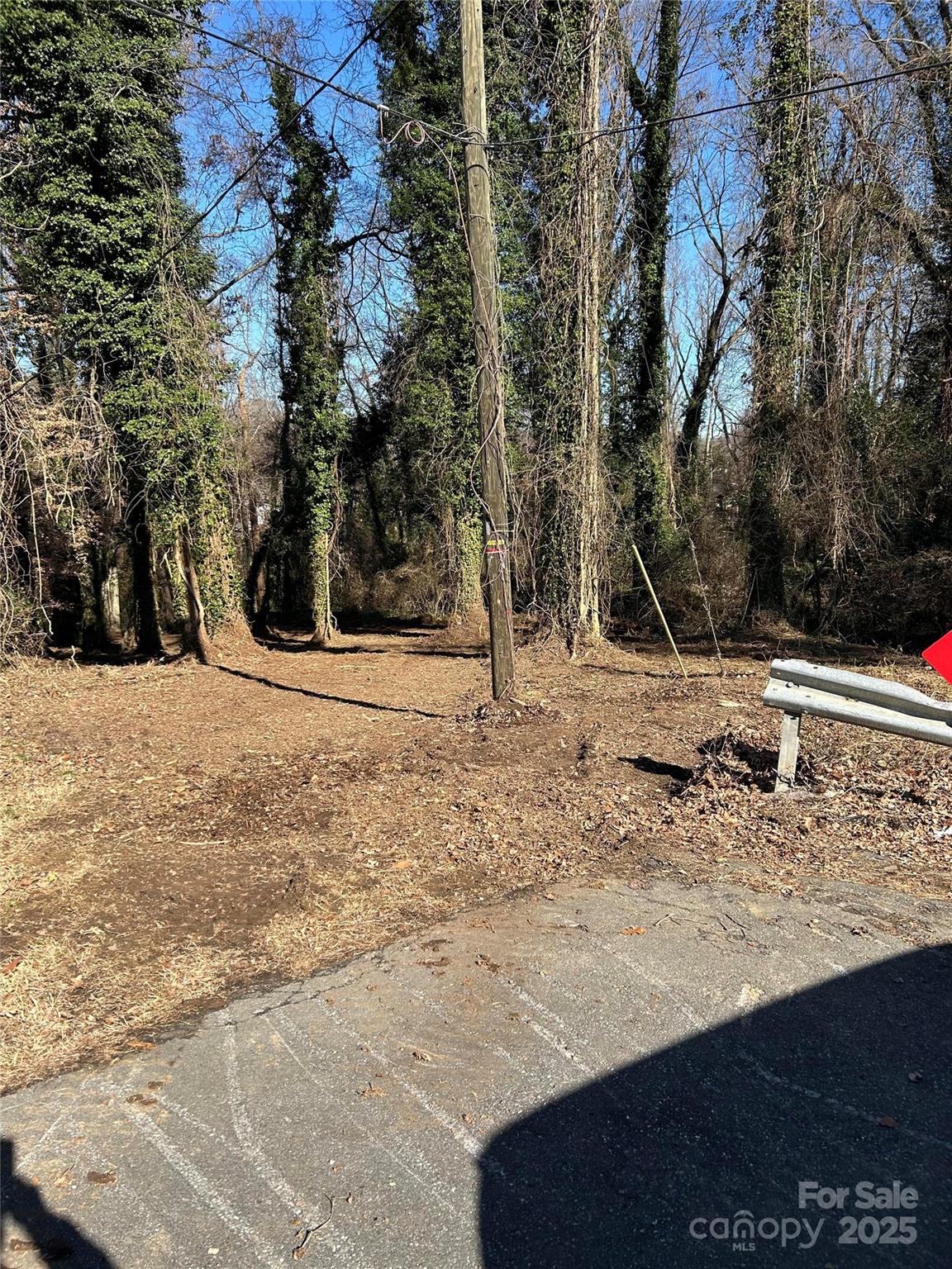 a view of a dry yard with trees