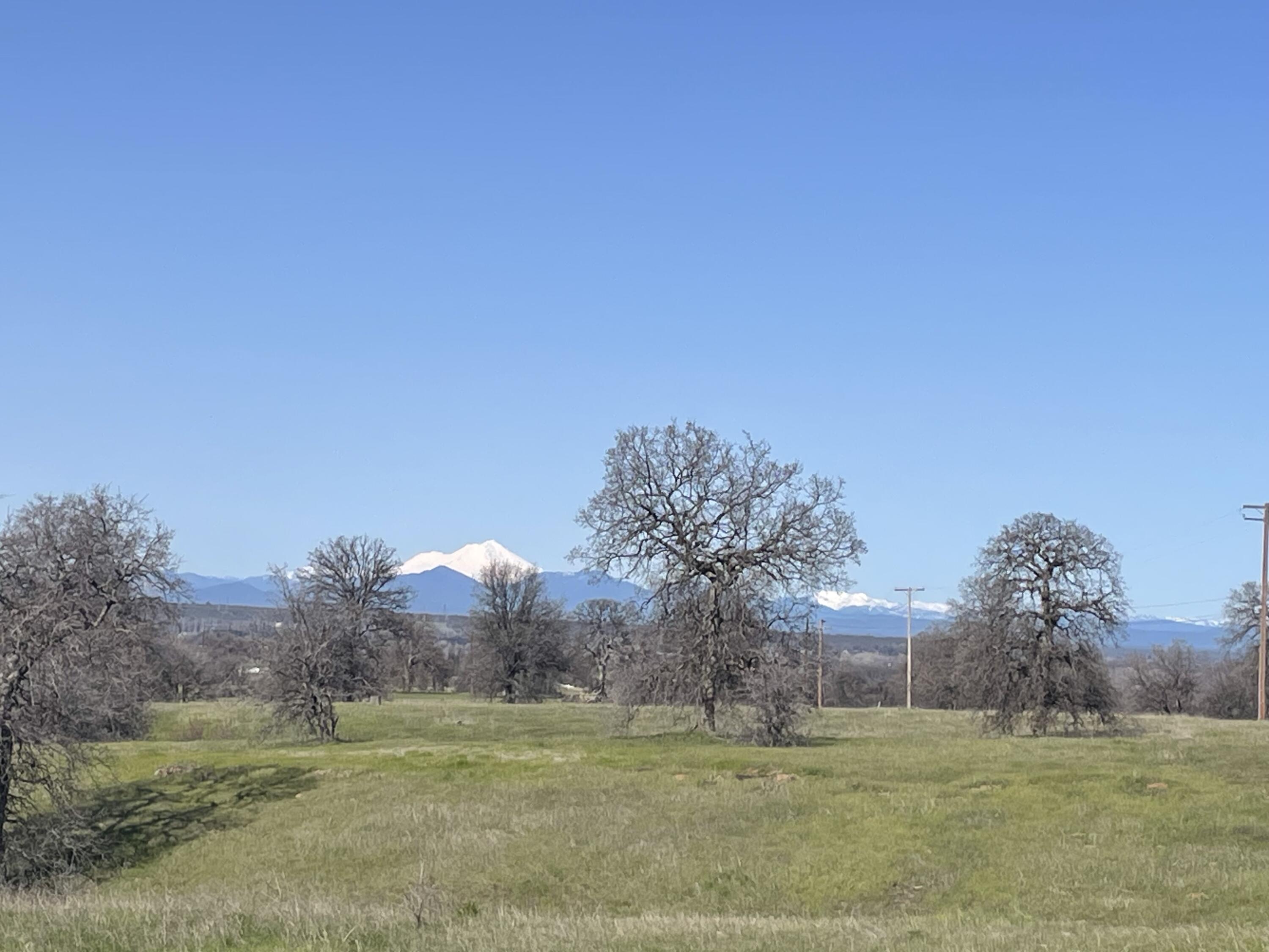 a view of grassy field with trees