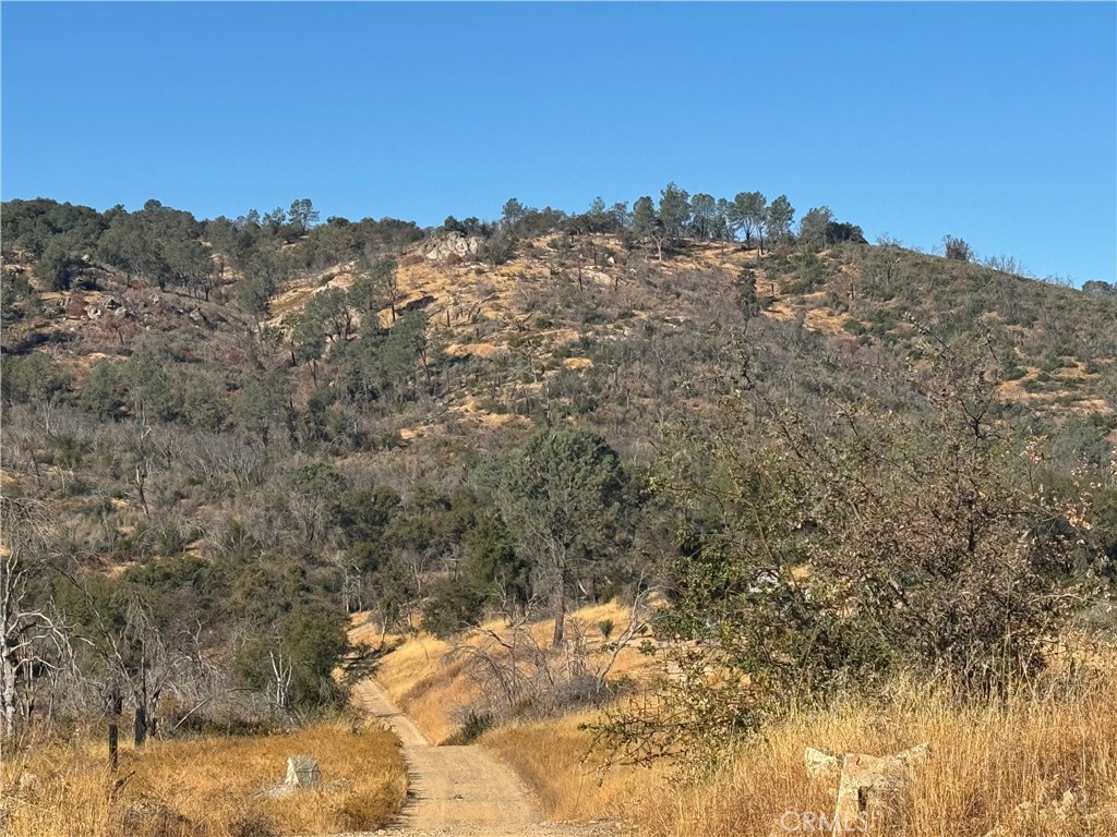 a view of a dry yard with mountains in the background