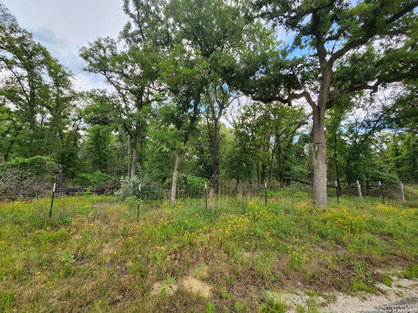 a big yard with lots of green space and deers