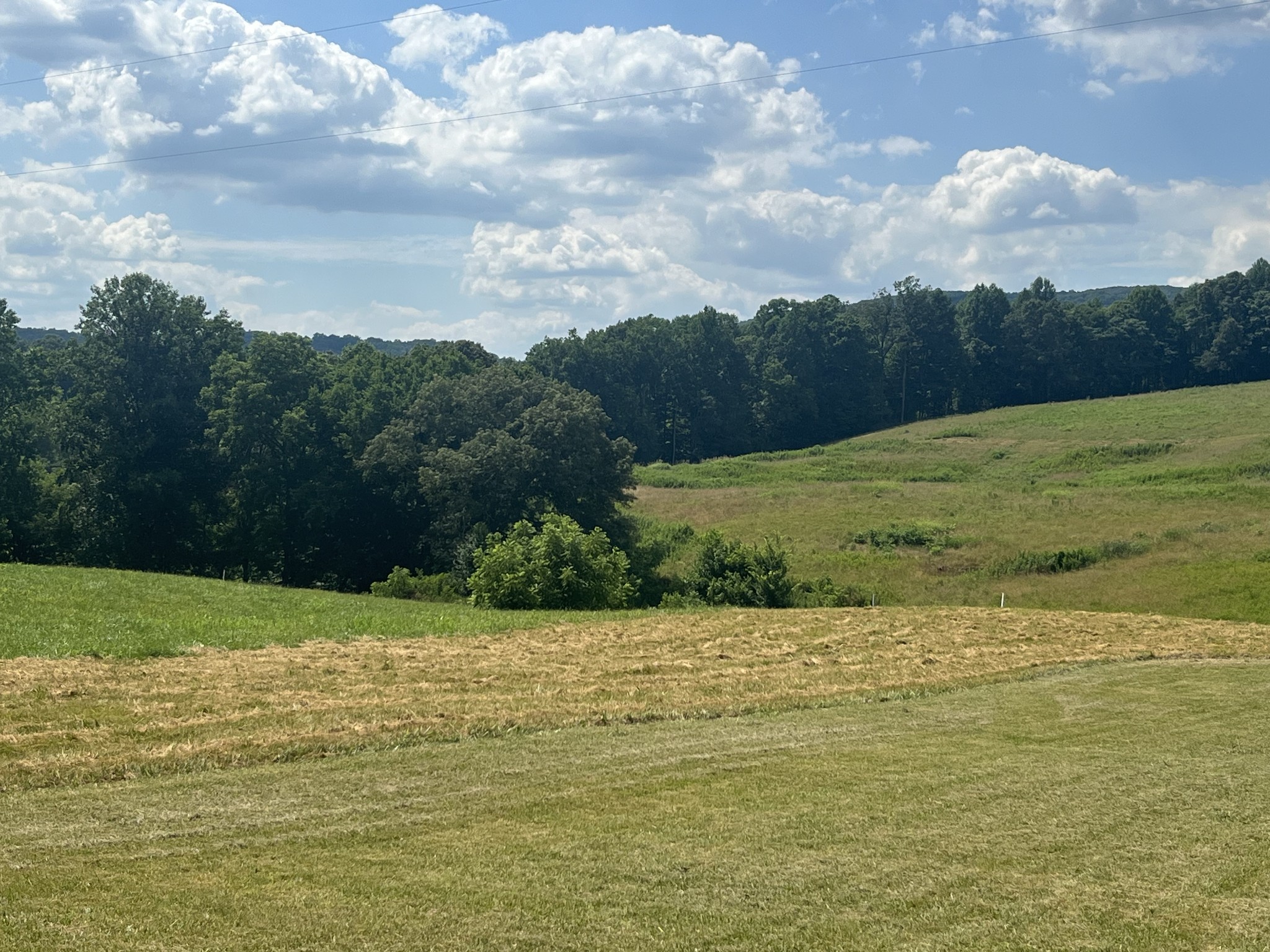 a view of a field with an ocean