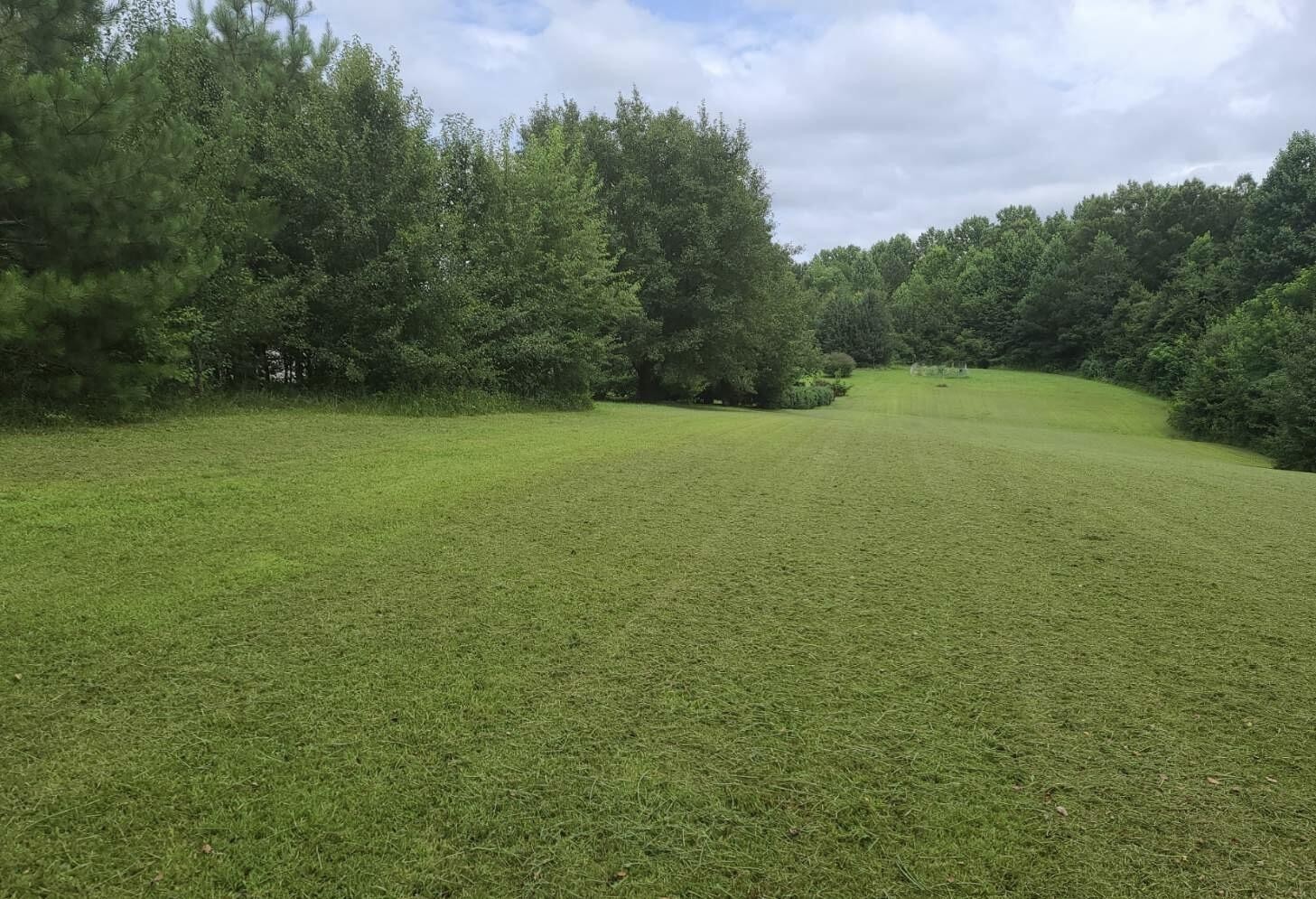 a view of a field with trees in the background