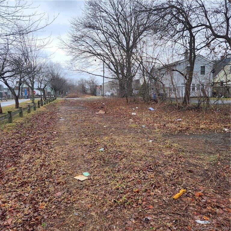 a view of a yard with a tree