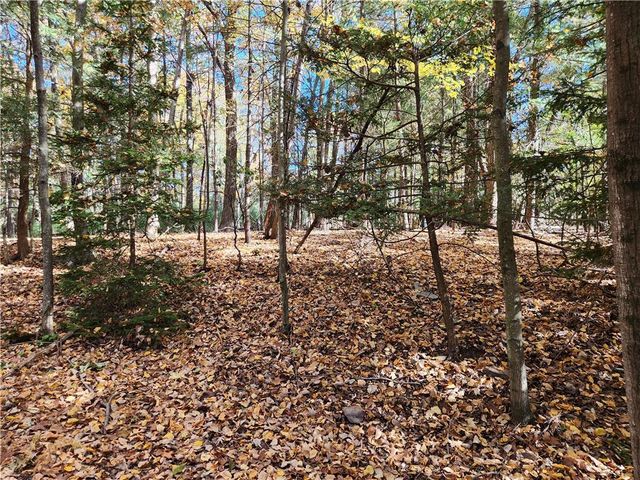 $18,000 | Mongul Circle | Pocono Township - Monroe County