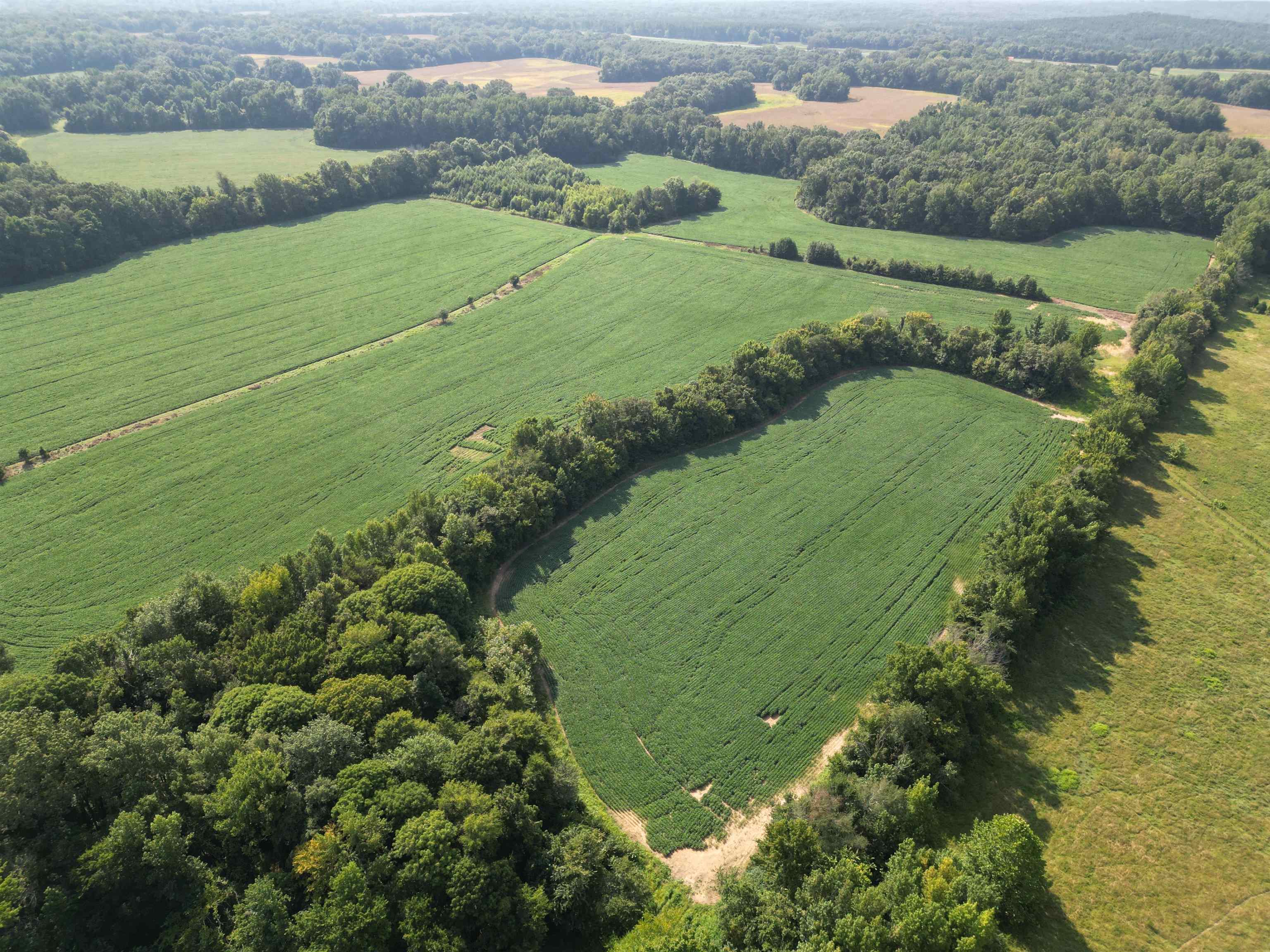 a view of a lush green field