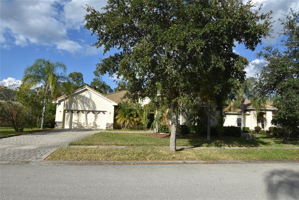 a view of a house with a yard and large trees