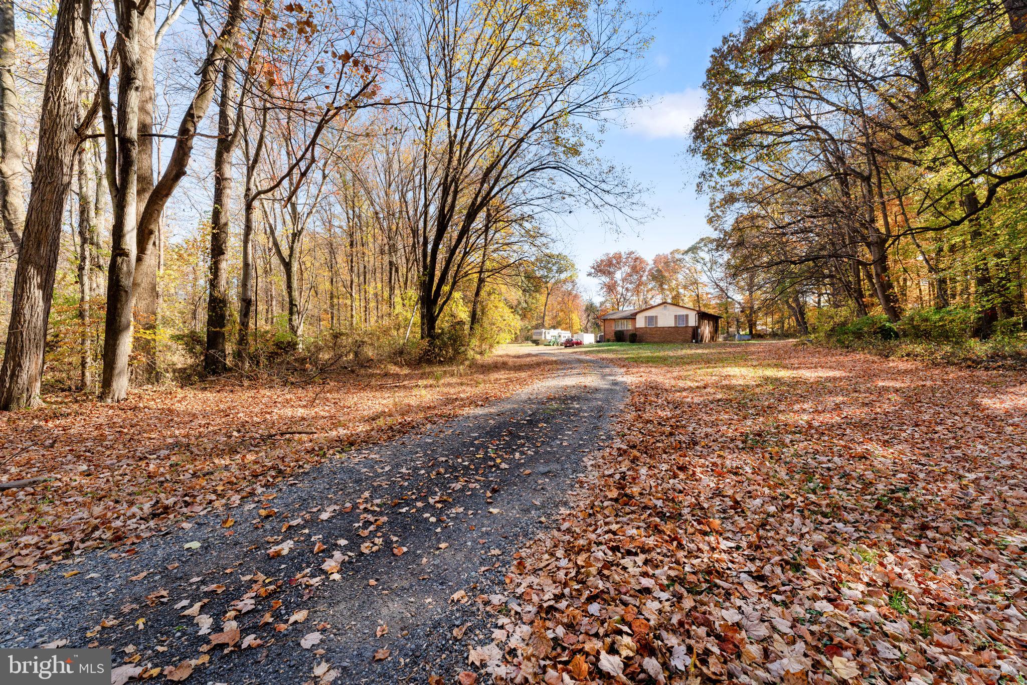 a view of dirt yard with a large tree