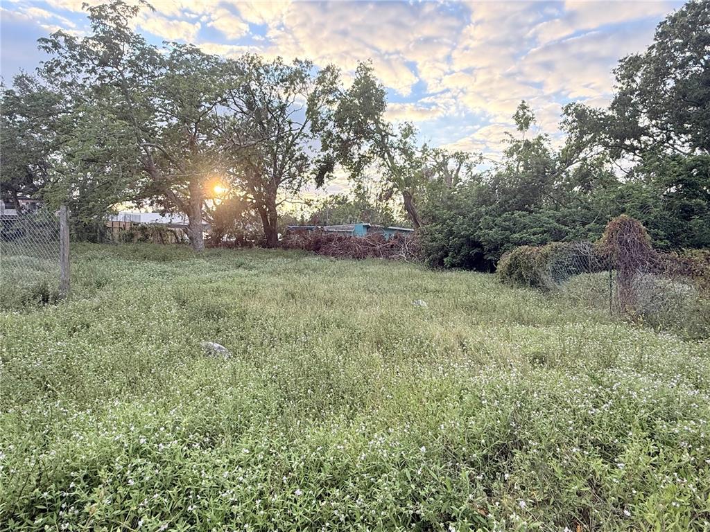 a big yard with lots of green space and plants