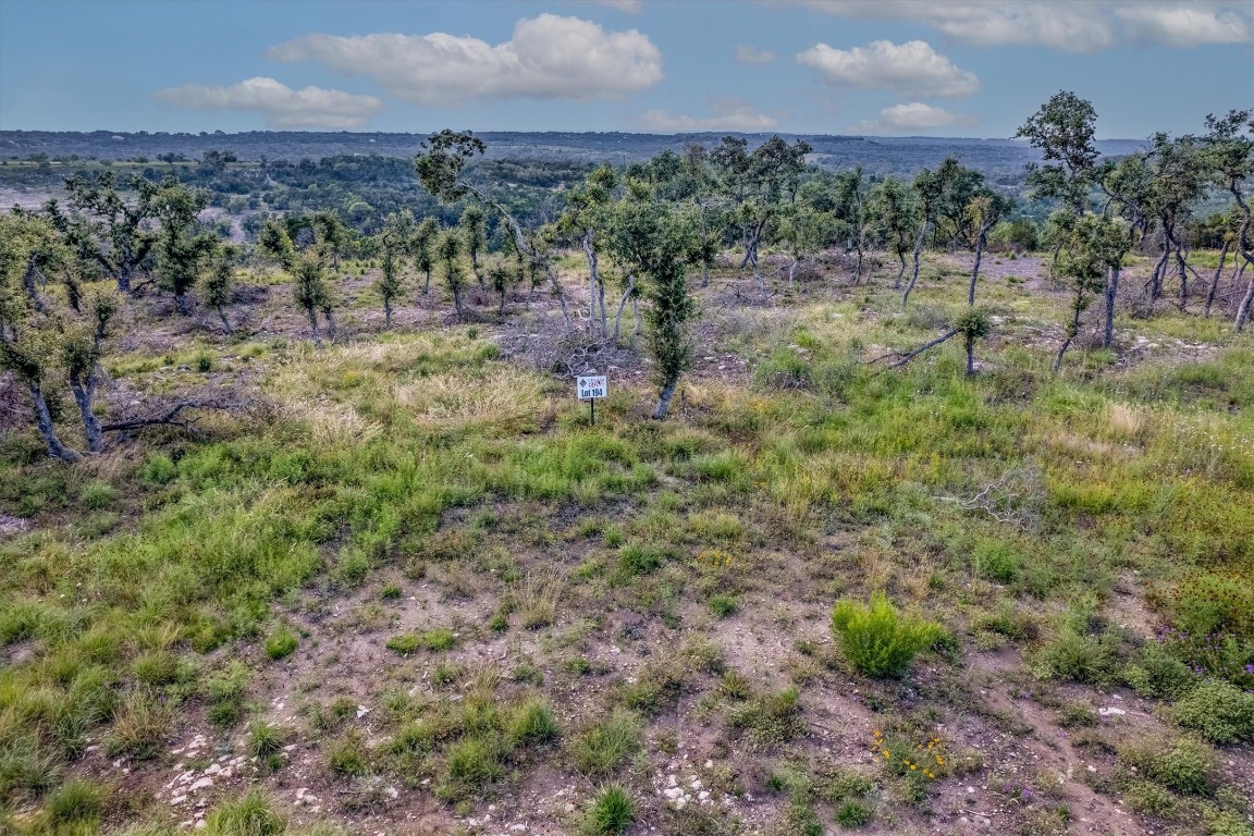 a view of a dry yard with and trees