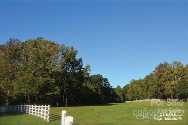 a view of a field with a tree in the background