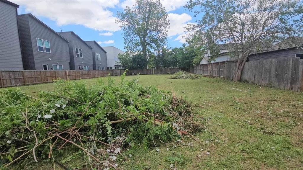 a view of backyard with tree