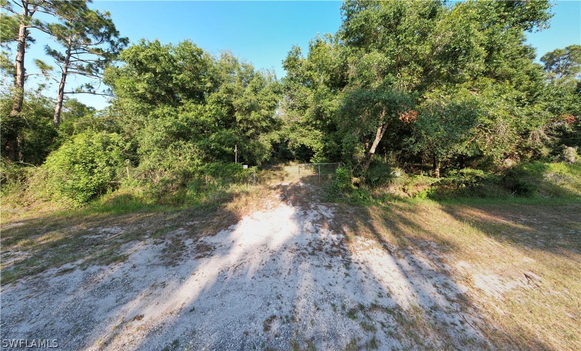 a view of a road with a yard