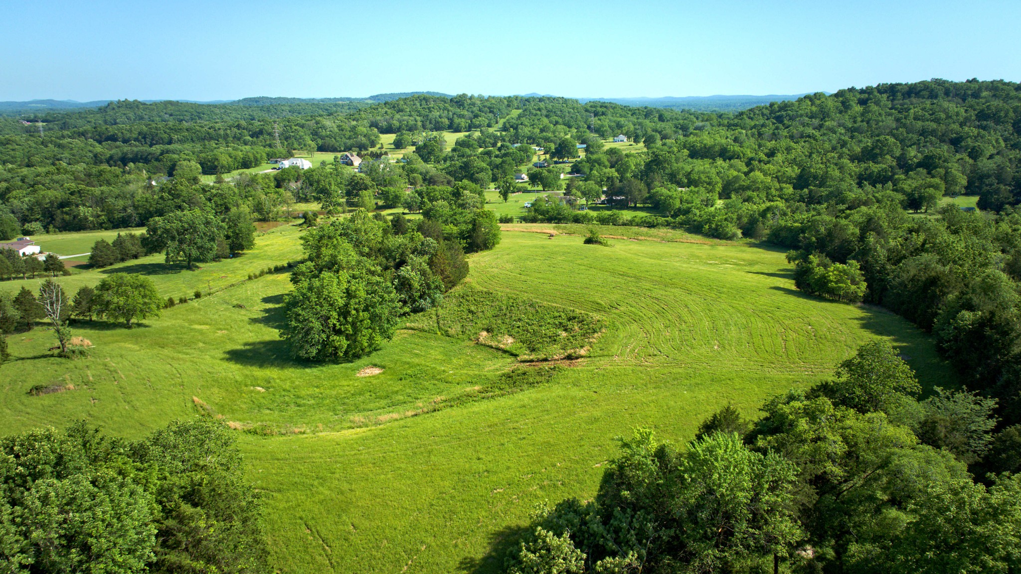 a view of a green yard with large trees