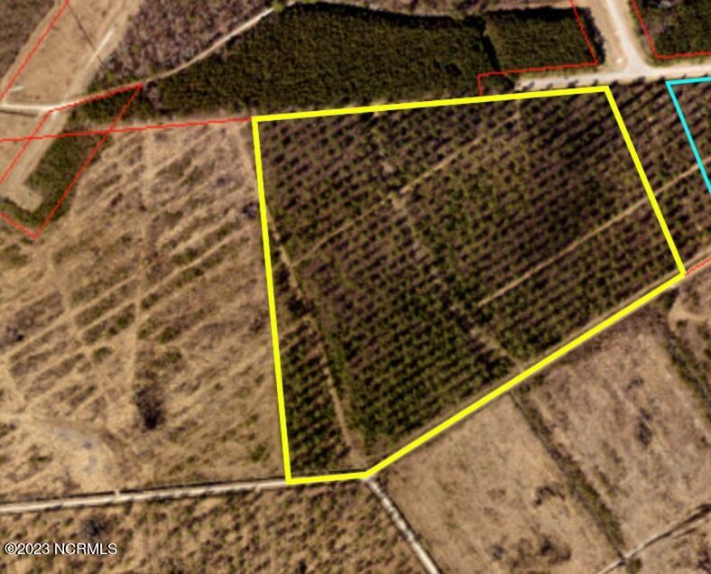 46 Acres Savoy Dr