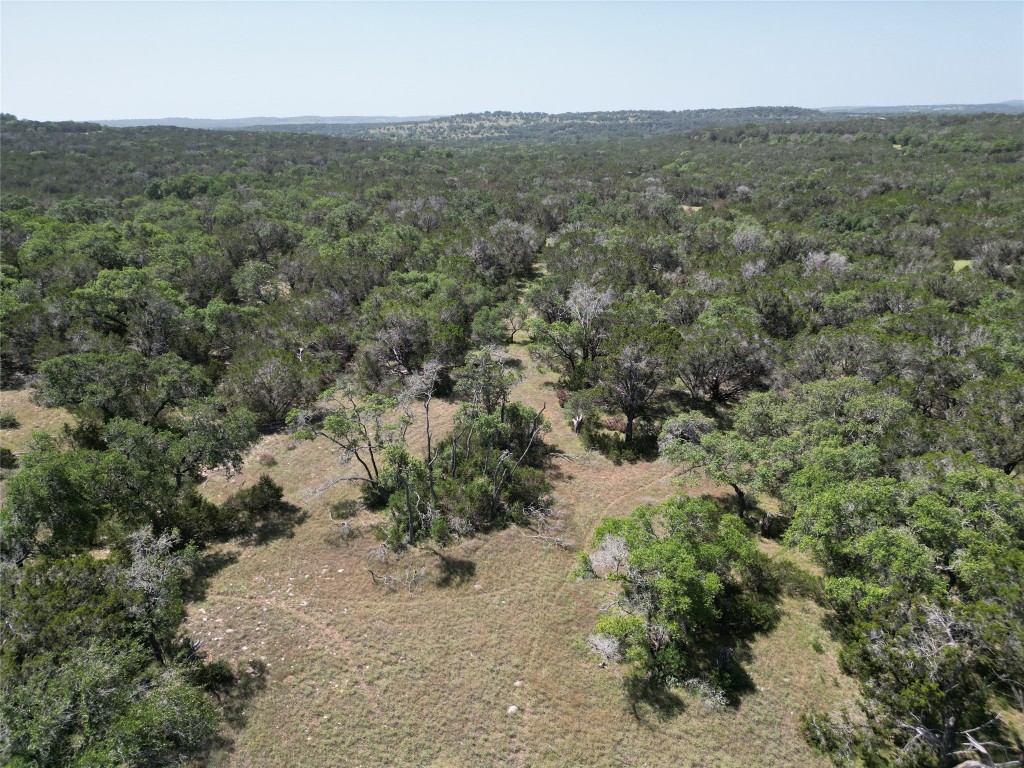 an aerial view of forest