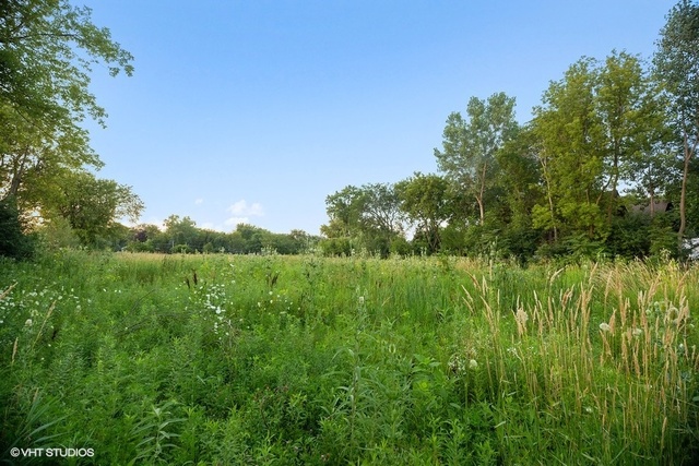 a view of a lush green space