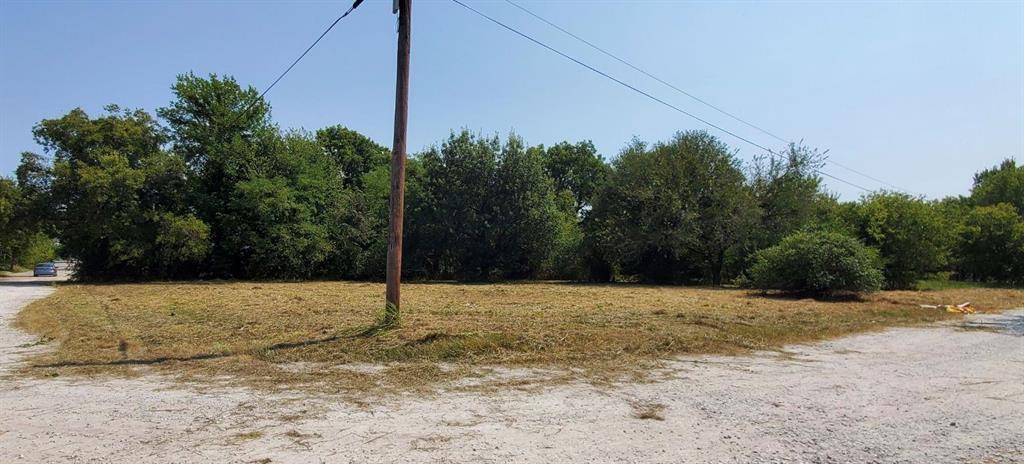 a view of a field with trees in the background