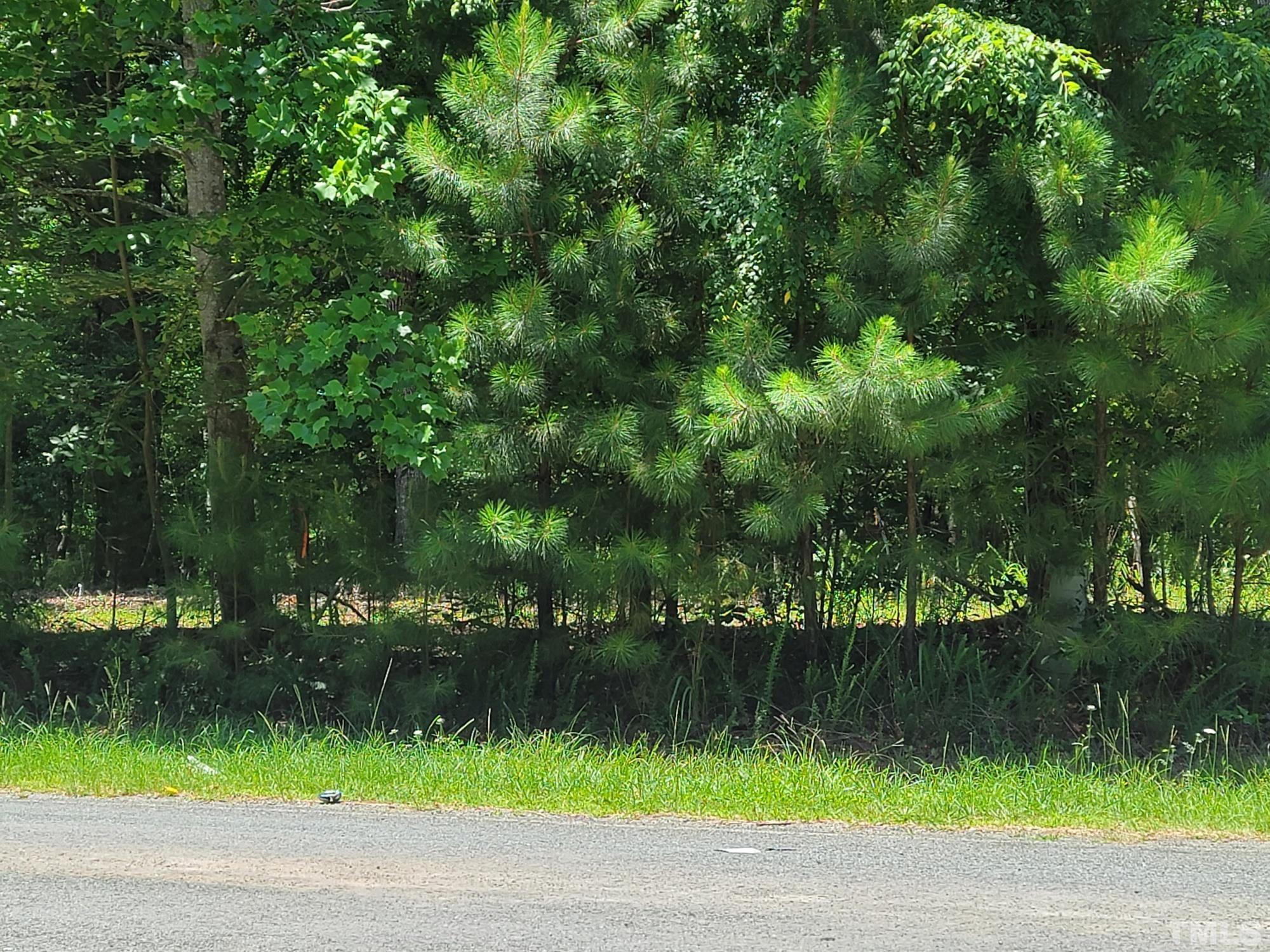 a view of lake