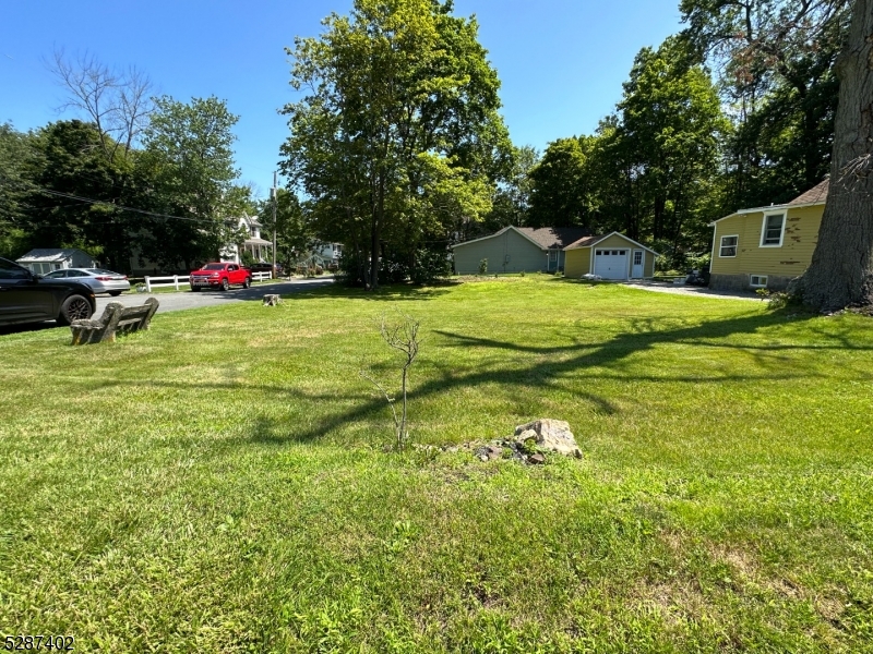 a view of a park with large trees