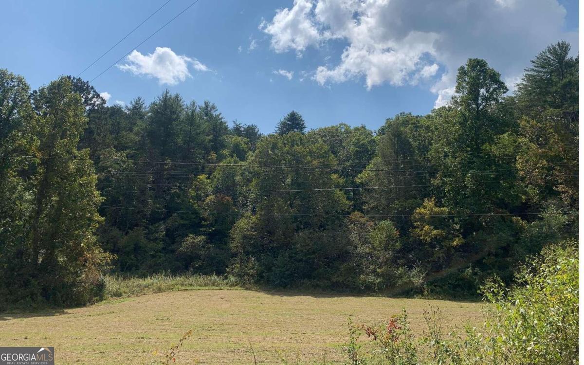 a view of a bunch of trees in a yard