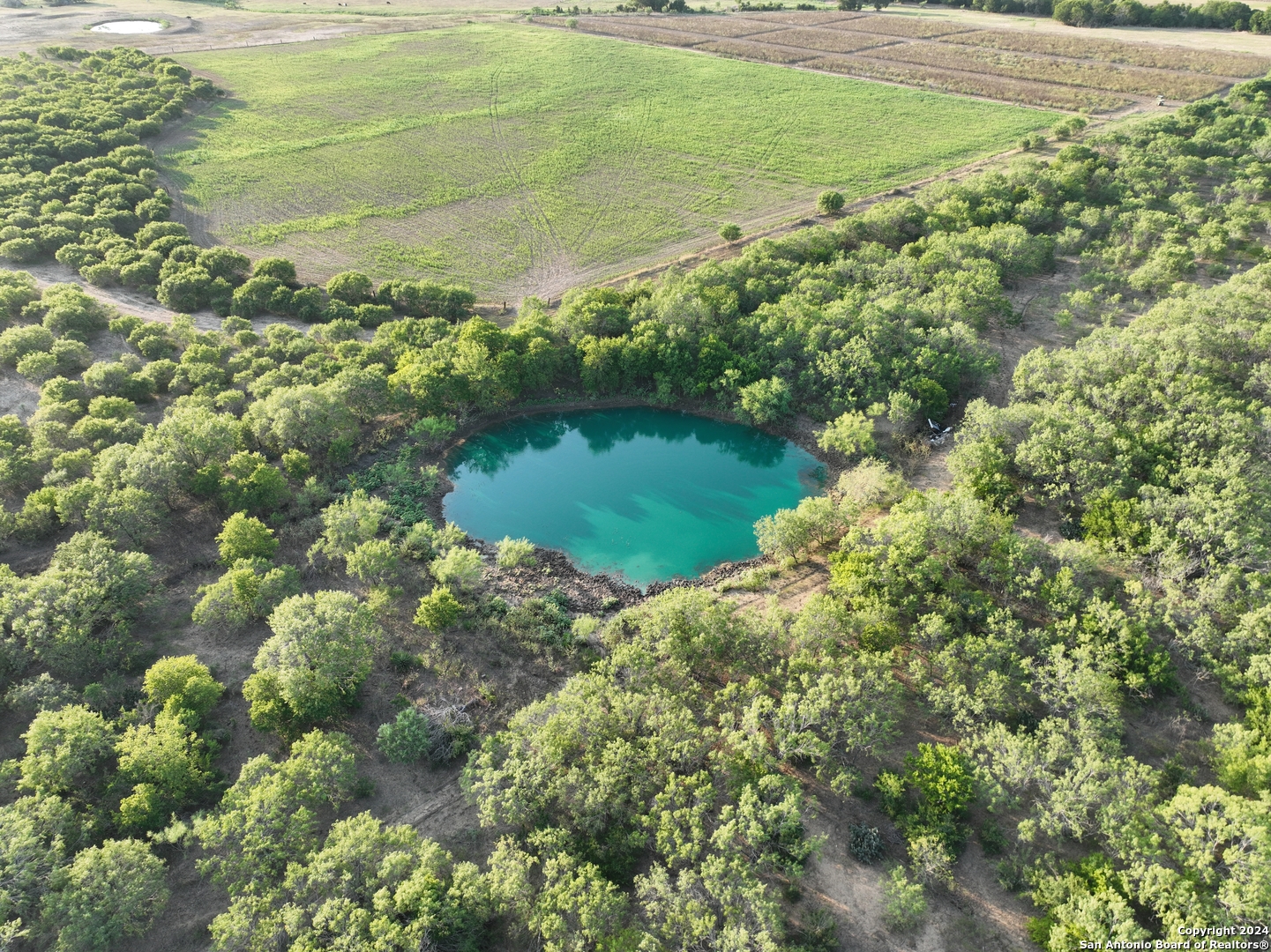 a view of a lake with a yard