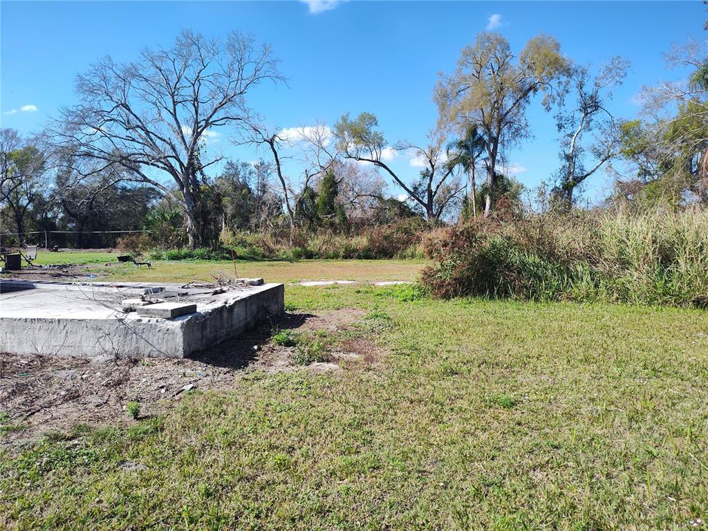 a view of a yard with trees in the background