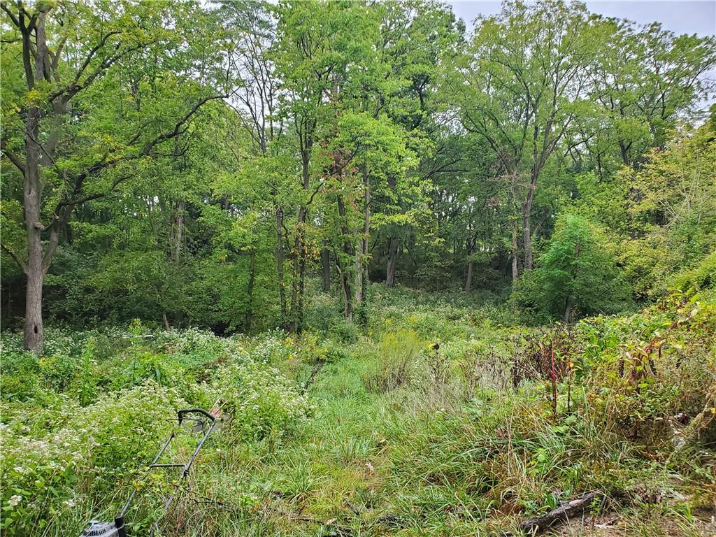 a view of outdoor space and green space