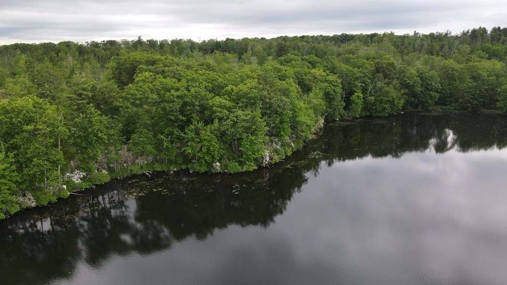 a view of a lake in middle of forest