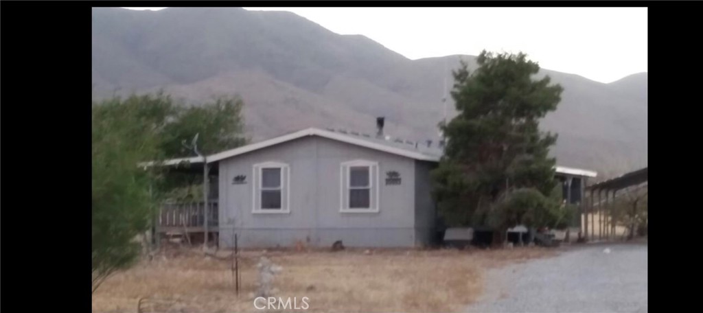 a view of a house with a yard and large tree