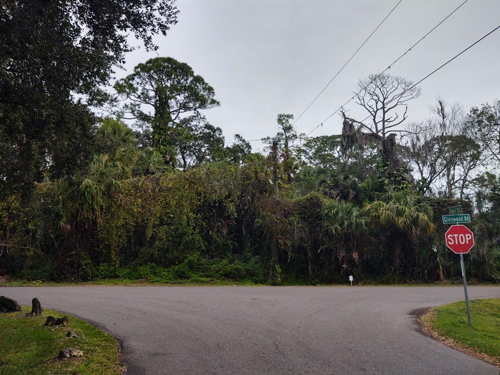 a street view with tall trees