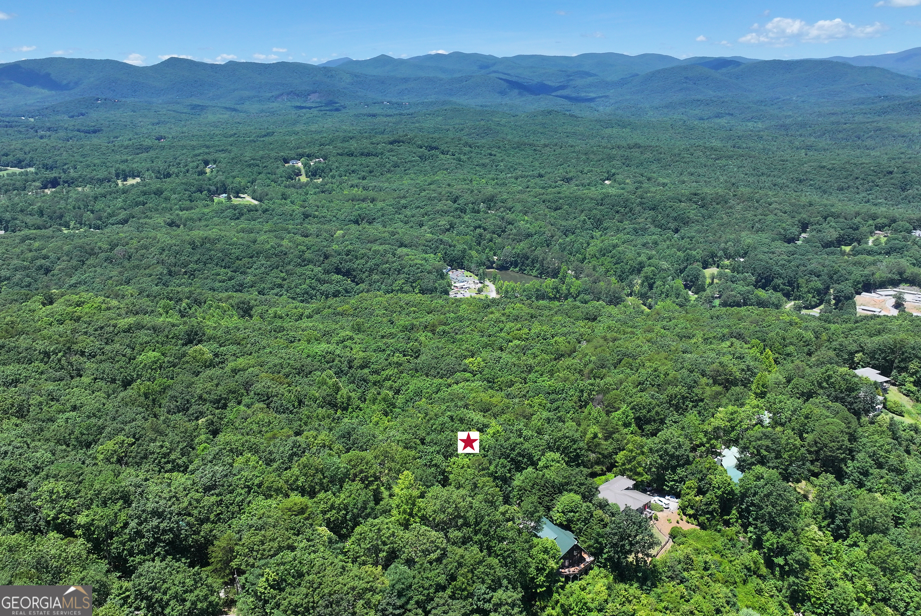 a view of a lush green forest with trees and houses