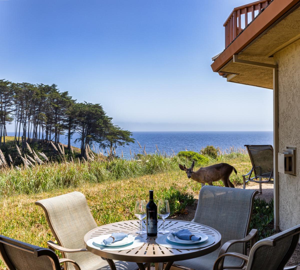 a view of a chairs and table in patio