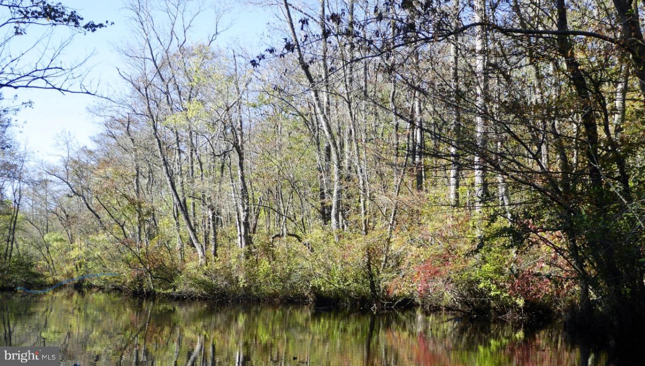 a view of lake