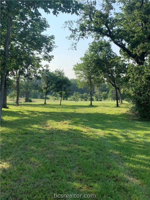 a view of a green field with lots of trees