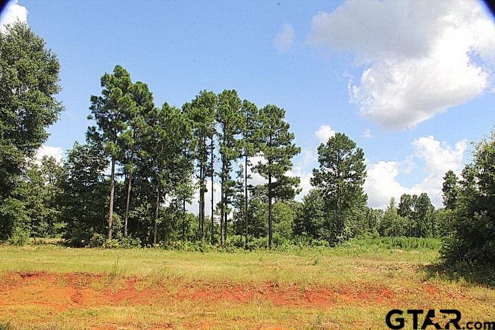 a view of a yard with trees in the background