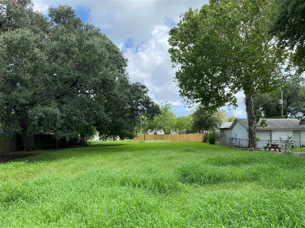 a view of a field of grass and trees