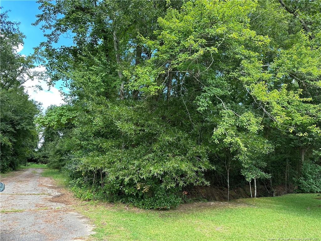 an outdoor space with lots of trees