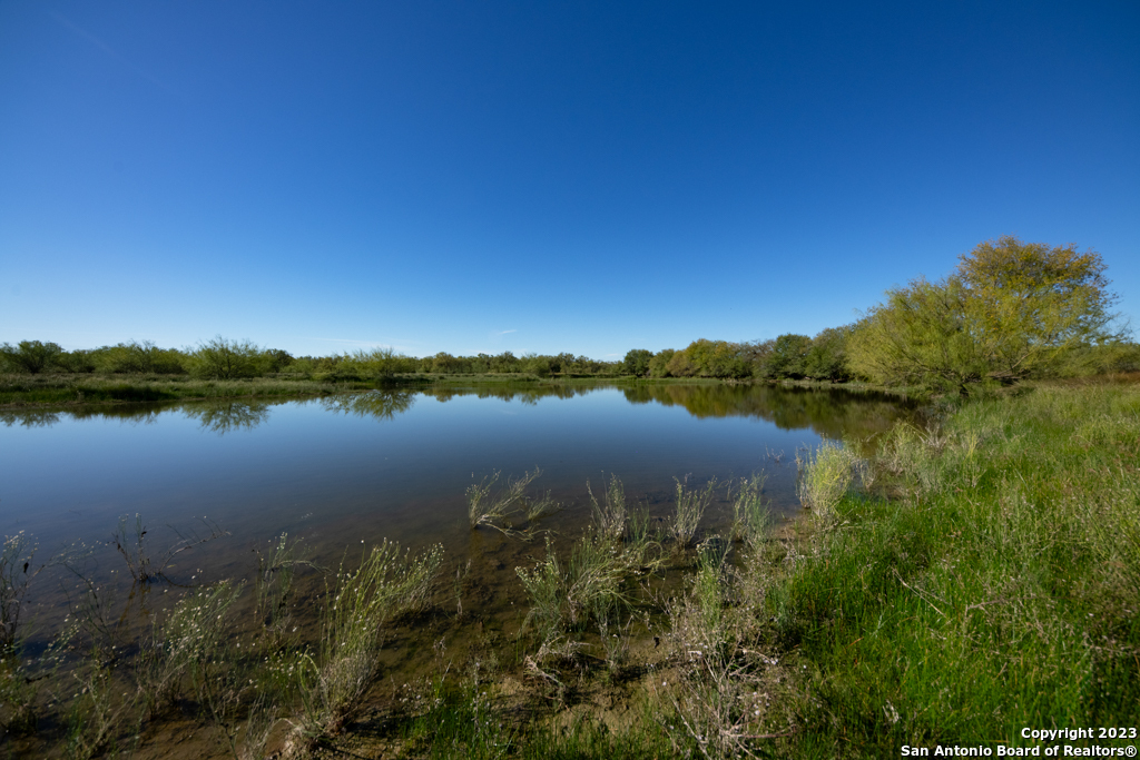 a view of a lake from a yard