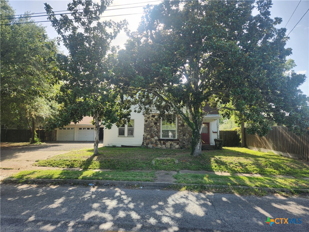 a view of a yard with plants and trees