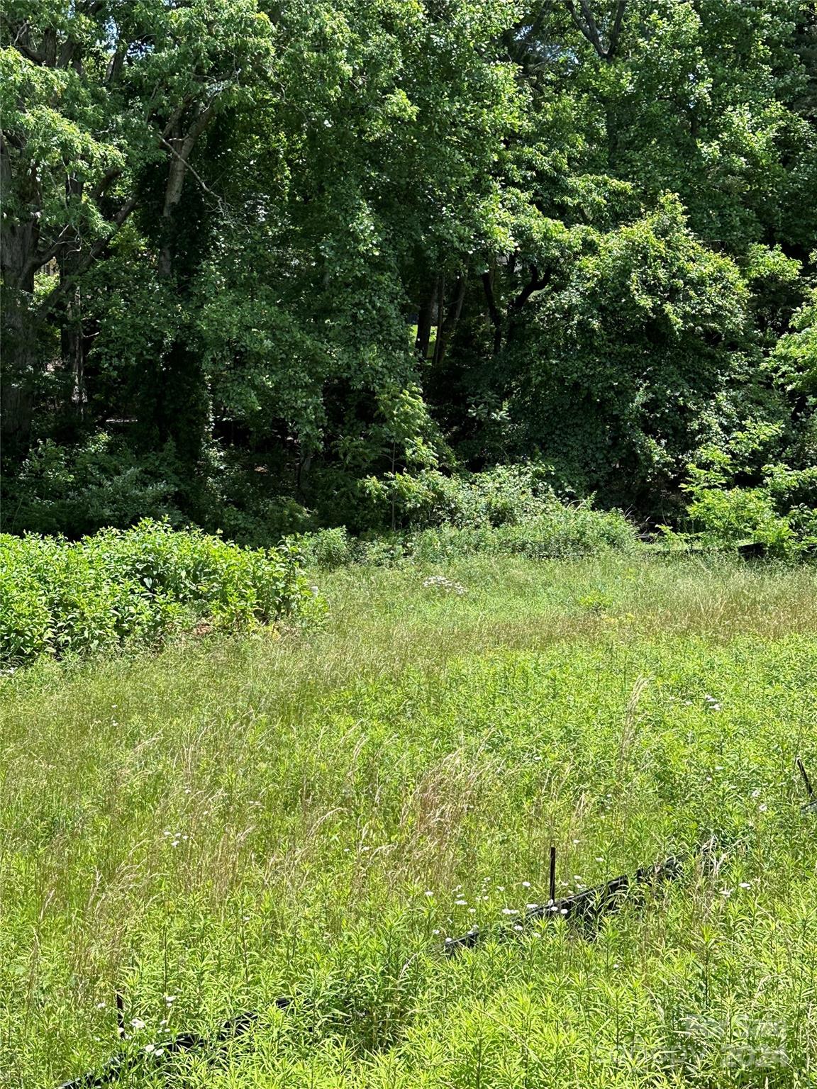 a view of a garden