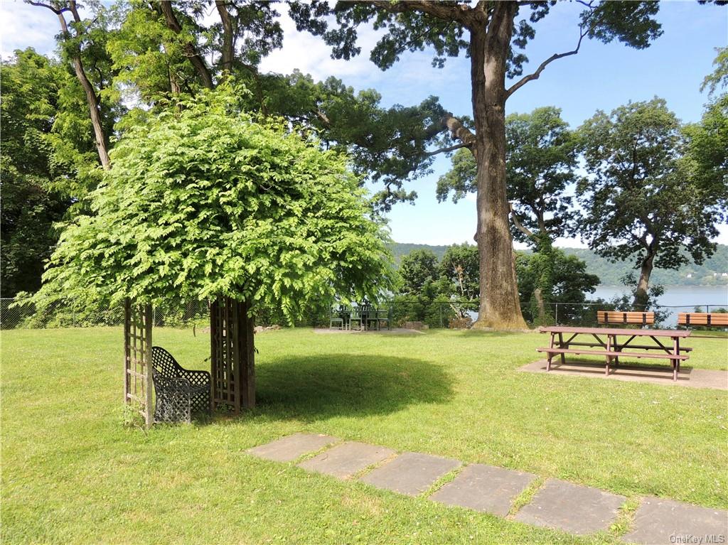 a garden with trees and some plants