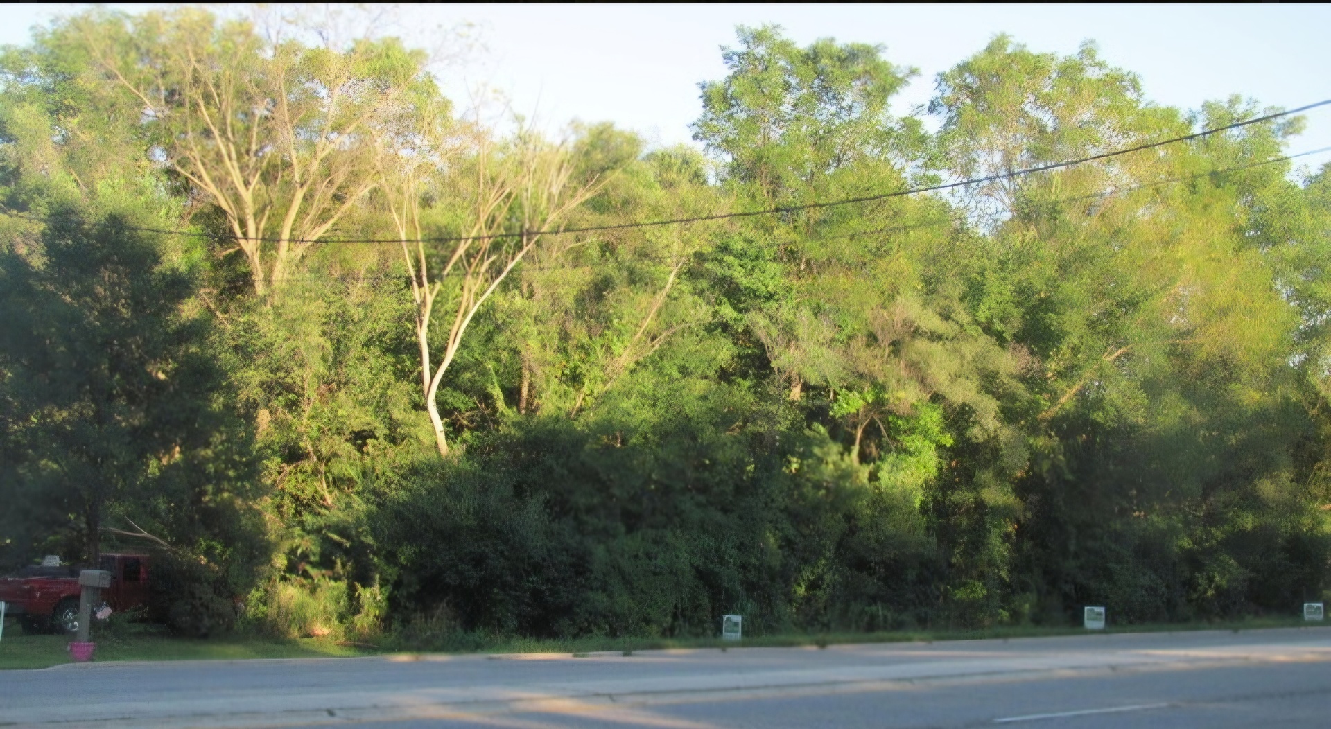 a view of a yard